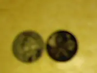 Picture.webp