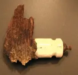 insulator.webp