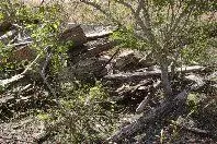 IM001159.webp