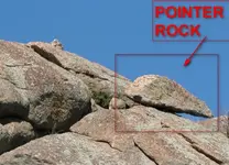 POINTER (Large).webp