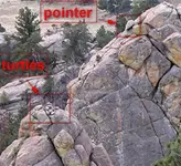 pointer 4 (Large).webp