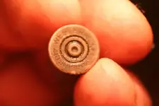 NH FINDS 11-29 006.webp