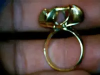 coinring2 (Small).webp