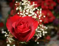 IMG_5138-1.webp