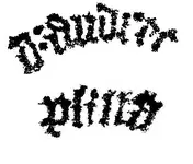 napis.webp