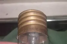 bulb 013.webp
