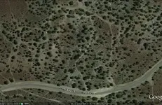 Untitled.webp