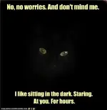 funny-pictures-and-this-is-a-purr-not-a-grrr-truly.webp