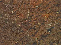 wiregold.webp