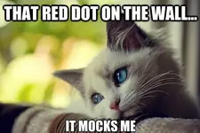 First-World-Problems-Cat-16.webp