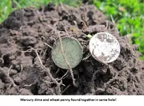 Coins & Ring 019.webp