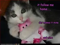 funny-pictures-mine.webp