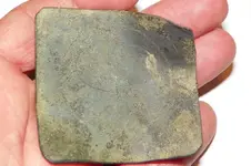 CLIPPED BELT PLATE 019.webp