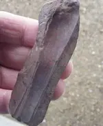 DSCF0012-1.webp