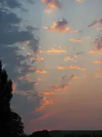 140.1.webp