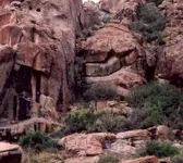Ghostcrop1.webp