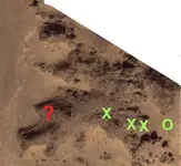 1-ali.webp