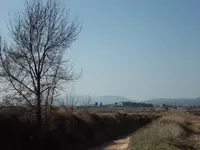 18 Febrero 2012 029.webp