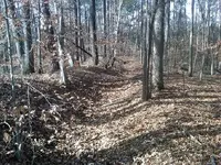 turners ferry.webp