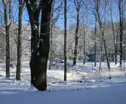 today 001.webp