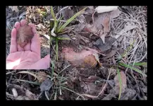 Broken Knife 12-26-2011 1-23-03 PM 5120x3413 (700x467).webp