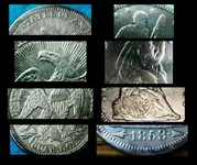 TEXAS FINDS-11.webp