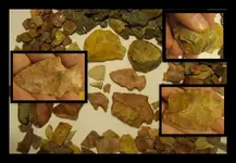 Finds from Dec. 25, 2011 12-26-2011 1-40-55 PM 5120x3413 (700x467).webp