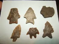 DSCF2097.webp