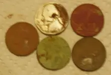 real nickels.webp