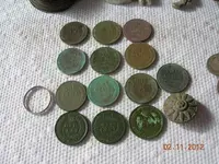 DSCN5419.webp