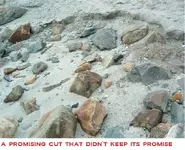 DSCF1394.webp