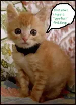 oh my.webp