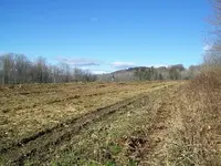 DEC 25TH CORN FIELD WITH JESS 2 COPPERS 003.webp