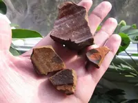 Quinn and Detecting Finds 017.webp