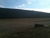 Farm.webp