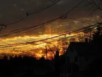 001.webp