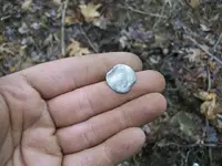 FEB 11TH 2 COPPERS AND COLONIAL SILVER 004.webp