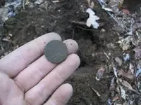 FEB 11TH 2 COPPERS AND COLONIAL SILVER 011.webp