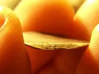 FEB 11TH 2 COPPERS AND COLONIAL SILVER 020.webp