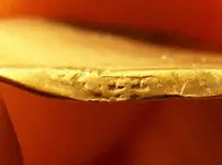 FEB 11TH 2 COPPERS AND COLONIAL SILVER 019.webp