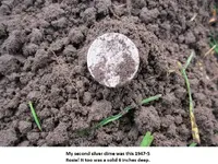 Baseball field finds 007.webp