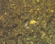 cripple creek gold tn_tn.webp