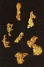 Dendritic Gold 1.webp