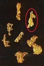 Dendritic Gold 1.webp