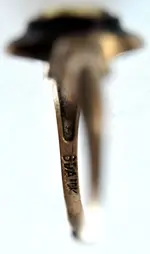 Beach Parkwood (16).webp
