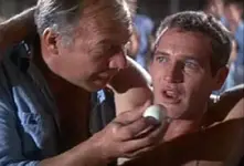 Cool-Hand-Luke.webp