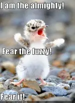 i-am-fuzzy.webp