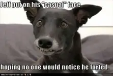 he-farted.webp