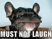 must-not-laugh.webp