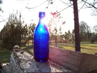 Colbalt Soda (3).webp